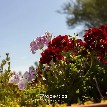 Rurale Con Vista By Propertize Монти